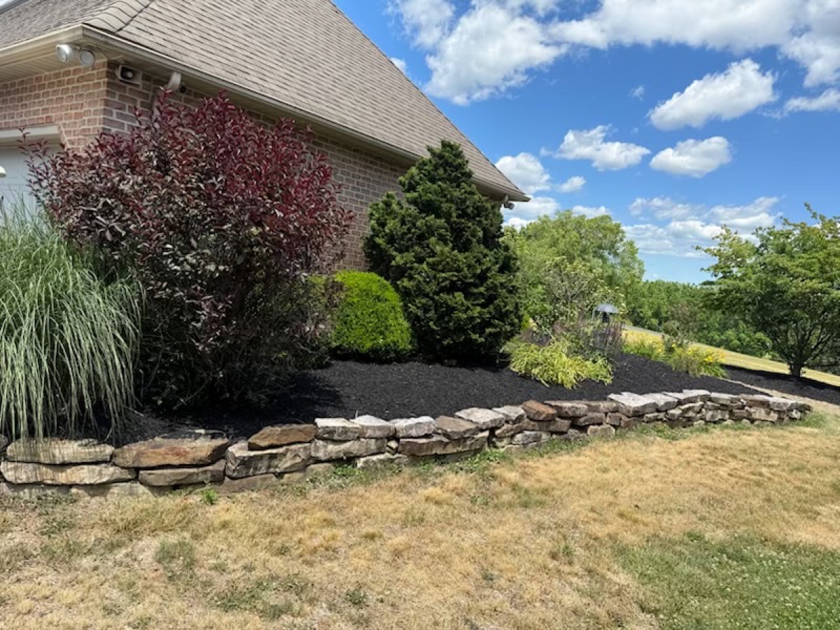 Foundation landscape bed with ornamental tree