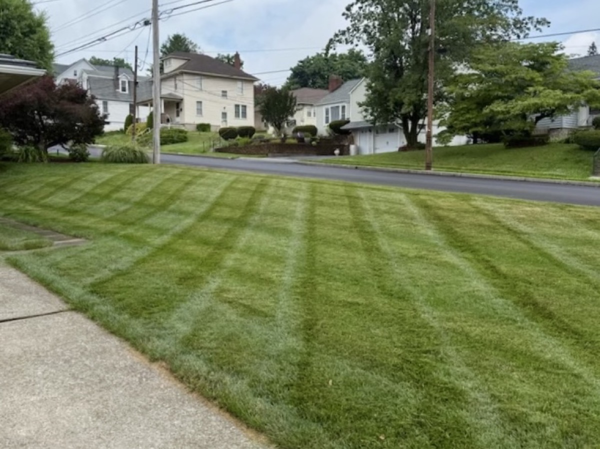 Freshly striped residential lawn