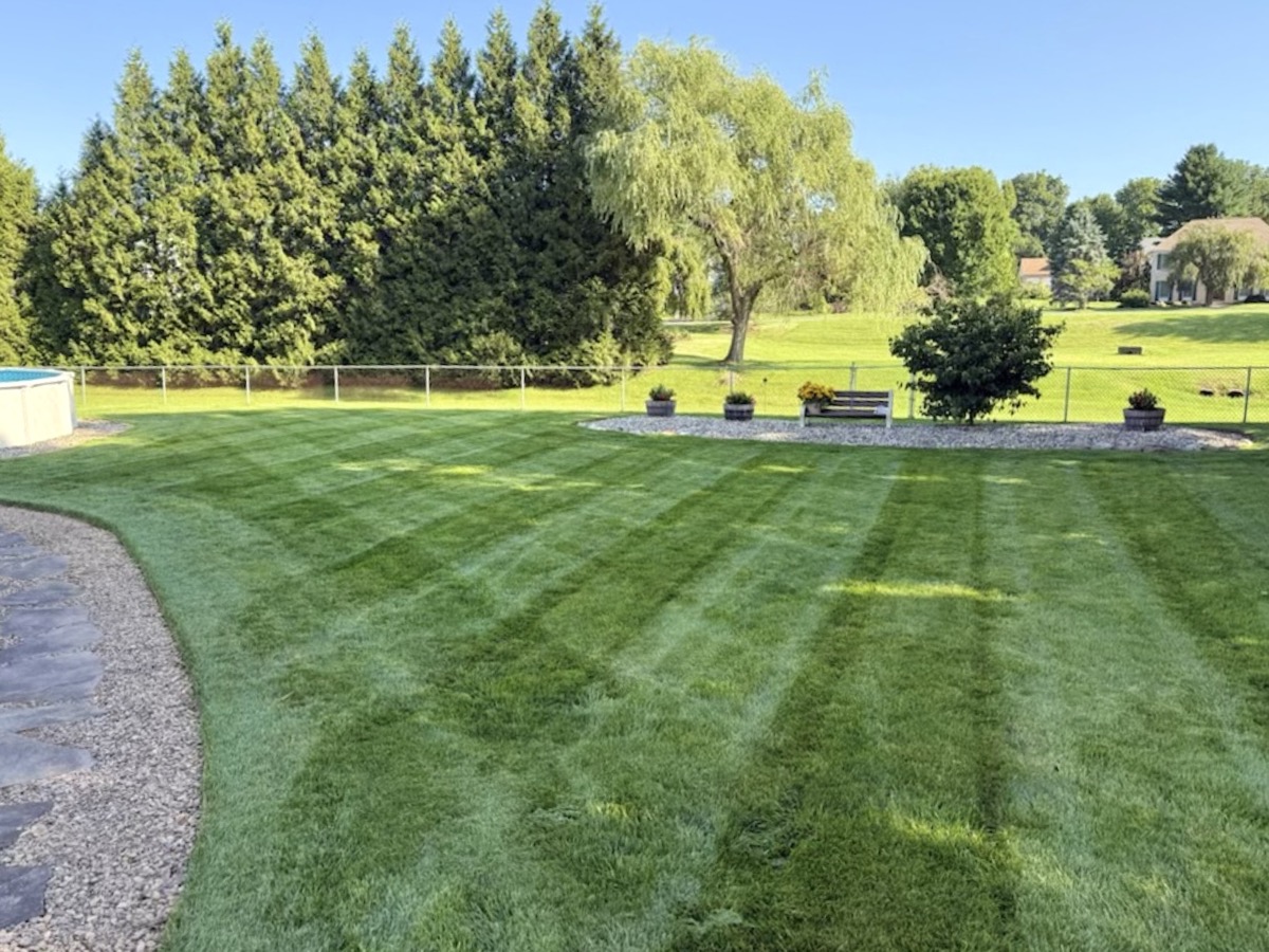 Freshly mowed backyard lawn with pool
