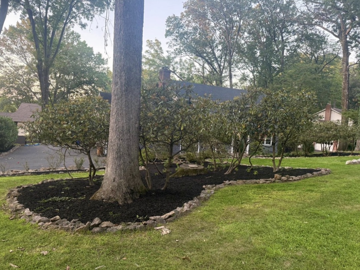 Shade garden bed with stone border