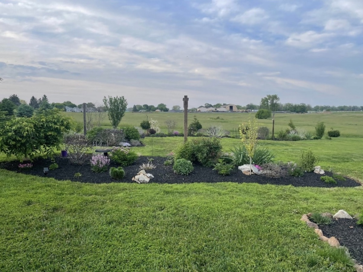 Garden border landscaping