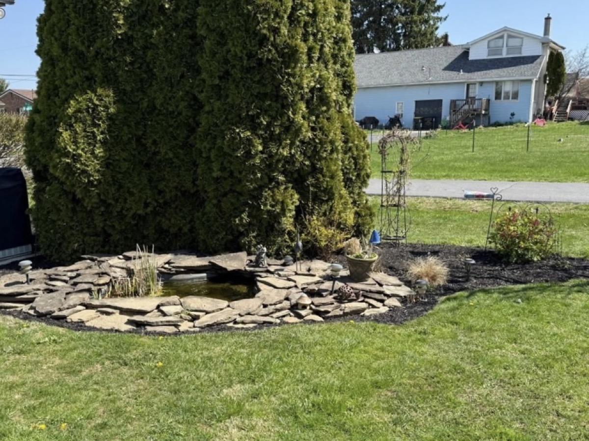 Landscaped water feature
